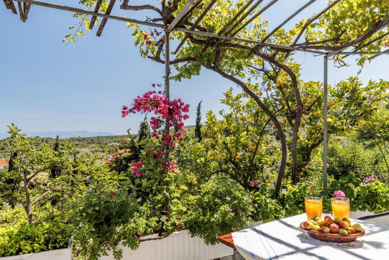 Christina'S Cottage Bandar Skopelos Luaran gambar